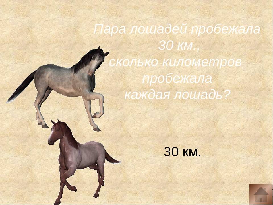 Максимальная и средняя скорость движения лошади