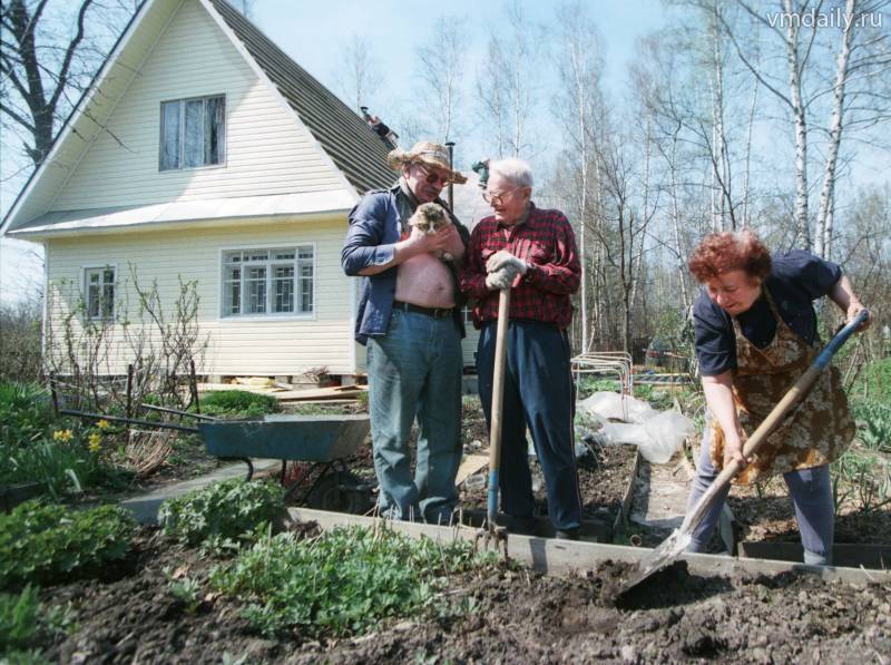 Работы на огороде и в саду в мае - моя дача - информационный сайт для дачников, садоводов и огородников