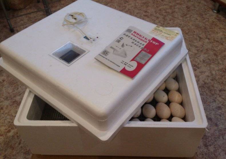 Рейтинг инкубаторов с автоматическим переворотом яиц