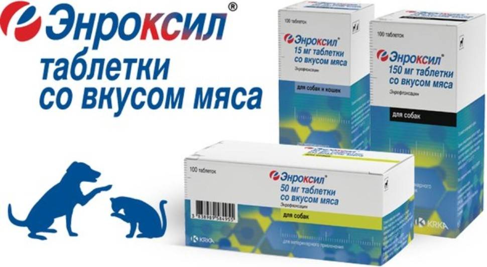 Ветеринарный препарат | энроксил 5% раствор для инъекций  от krka