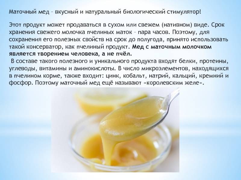 Мед с маточным молочком - полезные свойства и противопоказания