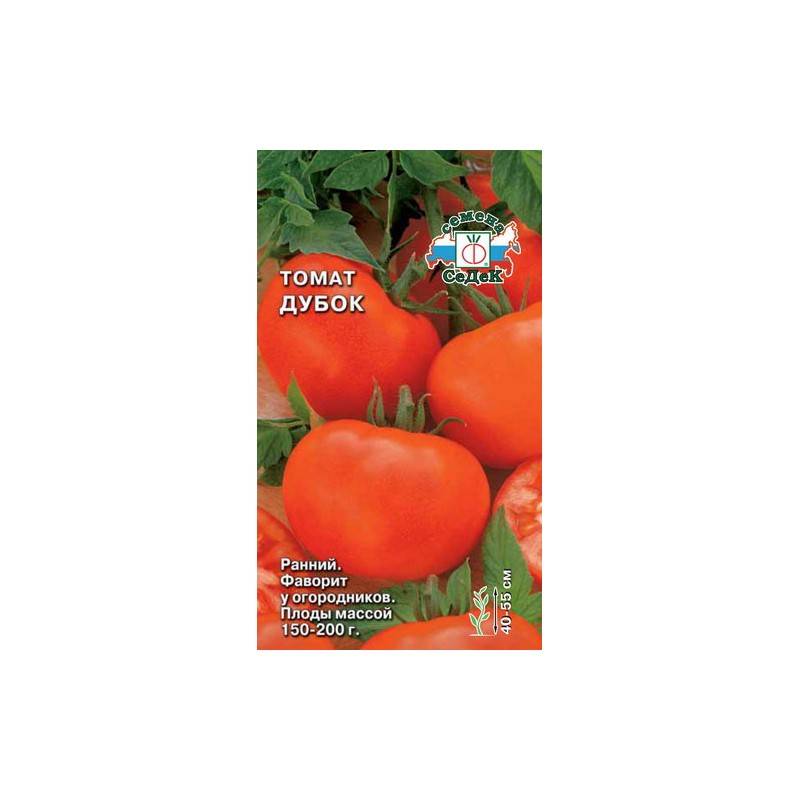 Томат дубок: описание и характеристика сорта, особенности выращивания помидоров, отзывы тех, кто сажал, фото