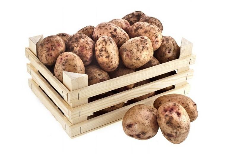 Можно ли мыть картошку перед хранением: как правильно хранить урожай в домашних условиях, полезные рекомендации