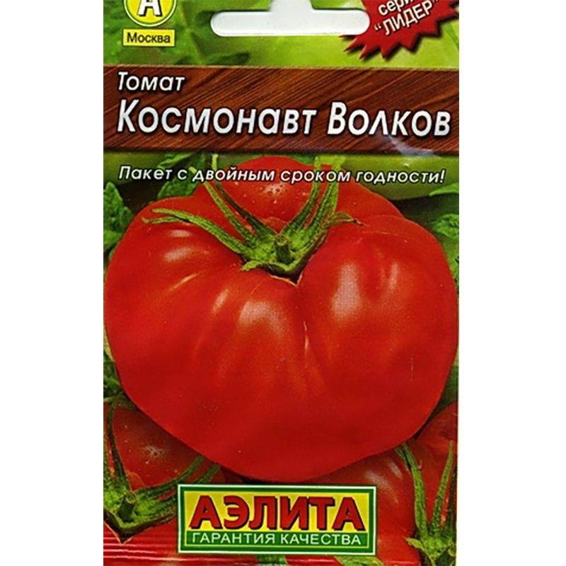 Сорт томатов космонавт волков - отличное решение для огородников
