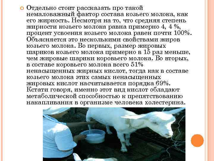 Содержание белка в молоке коров: от чего зависит и как повысить этот показатель ао "витасоль"