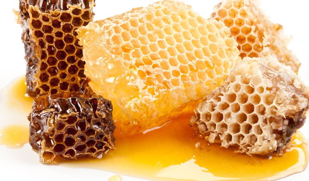 Мед в сотах: свойства, польза, как употреблять, как хранить