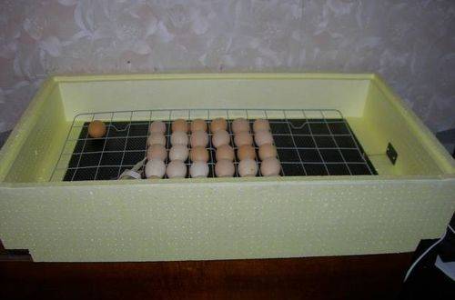 Инкубация гусиных яиц в домашних условиях: температура и влажность в инкубаторе, таблица