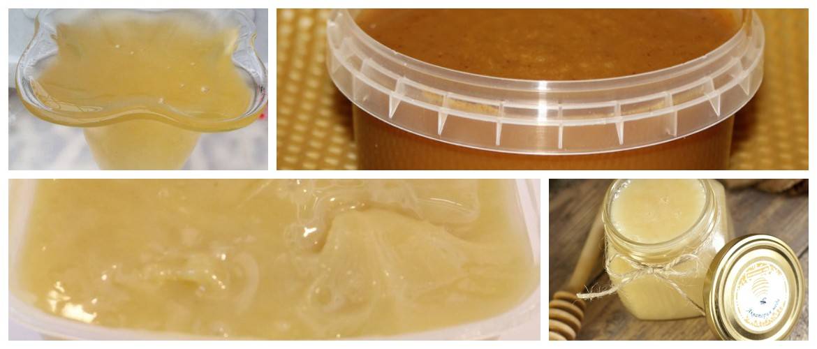 Донниковый мед— полезные свойства и противопоказания, из чего делают