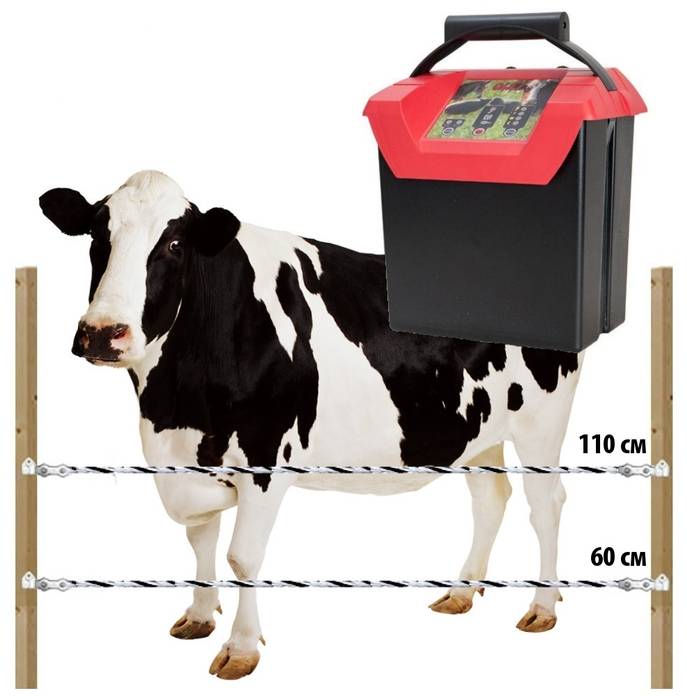 Электропастух для коров: обзор лучших моделей и как установить, инструкция