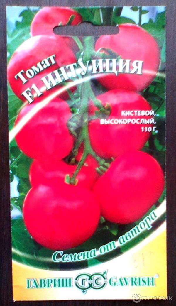 Томат интуиция: отзывы, характеристика и описание сорта, фото помидоров, урожайность, видео
