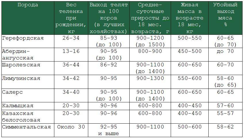 Сколько весит бык: таблица измерения крс, как определить вес без весов