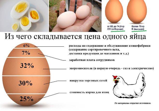 Причины тонкой и слабой скорлупы куриных яиц