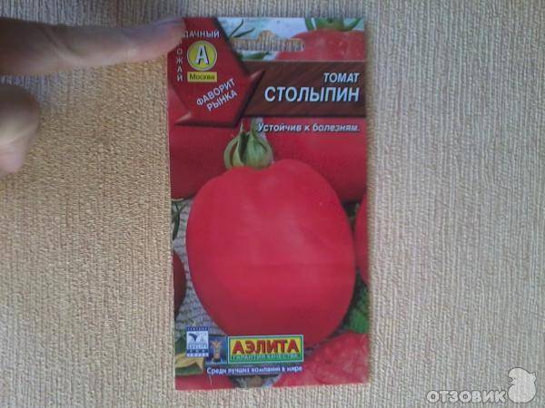 Универсальный сорт для всех регионов — томат «столыпин»: описание, фото, отзывы.