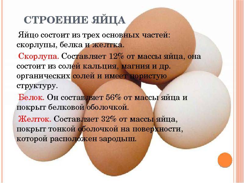 Какие куры могут нести двухжелтковые яйца, причины и как решить проблему