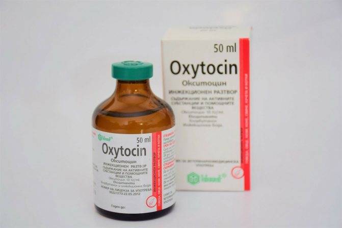 Окситоцин для животных дозировка. противопоказания и побочные действия. окситоцин во время родов: видео