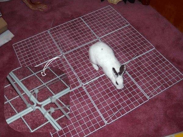 Домик для декоративного кролика: изготовление своими руками