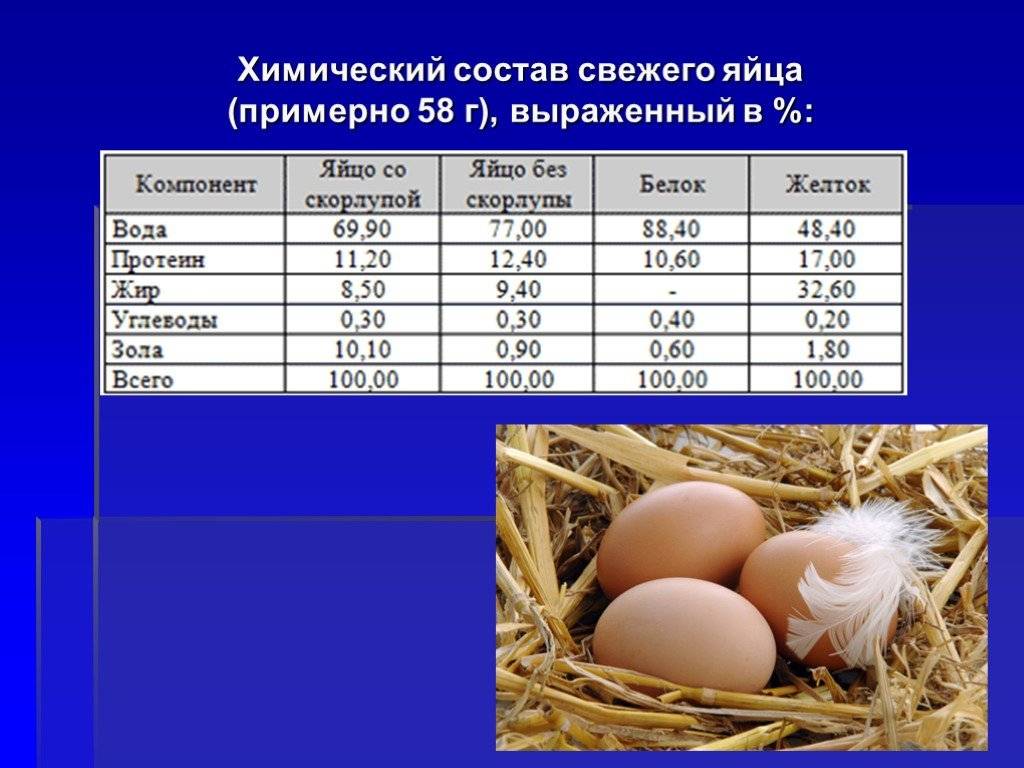 Куриные яйца: пищевая ценность и польза для здоровья