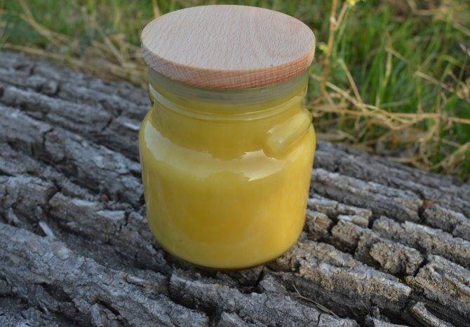 Дикий мед или бортевой мед: полезные свойства меда диких пчел