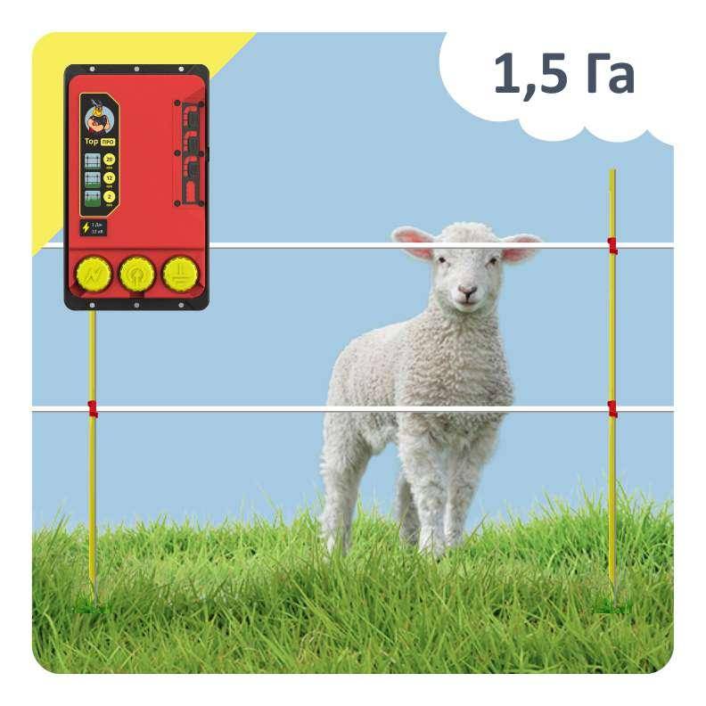 Электропастух для овец: особенности использования, советы