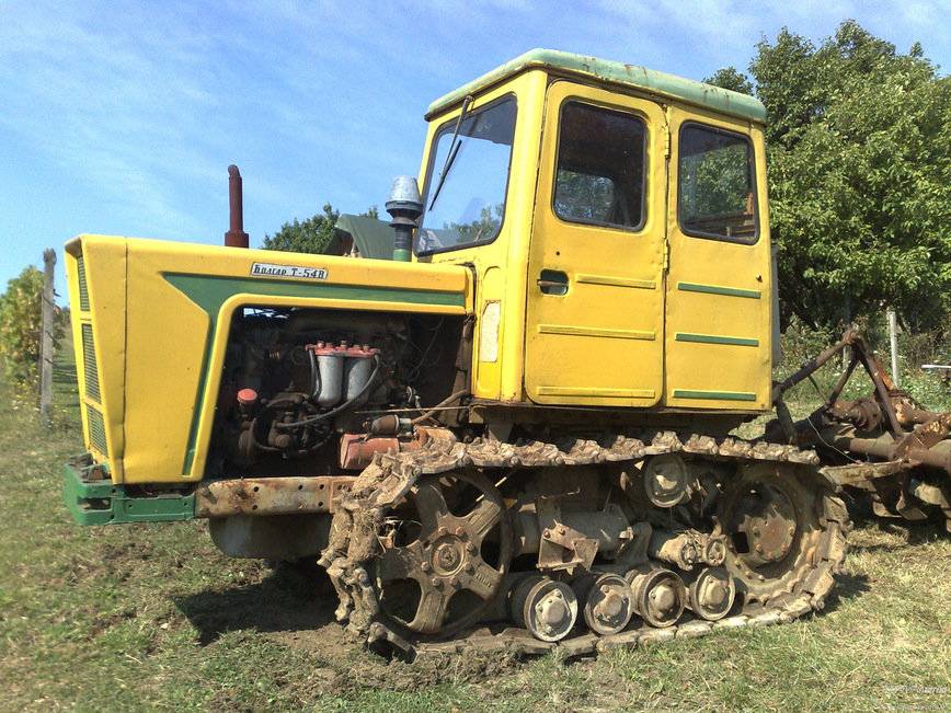 Трактор Т 54В (Т 54): незаменимый помощник для работы на виноградных полях