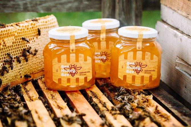 Удивительный цвет и вкус – полезные свойства хлопкового мёда