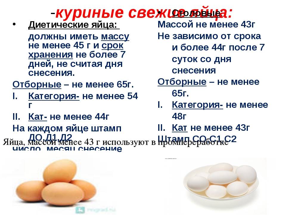 Вес куриного яйца