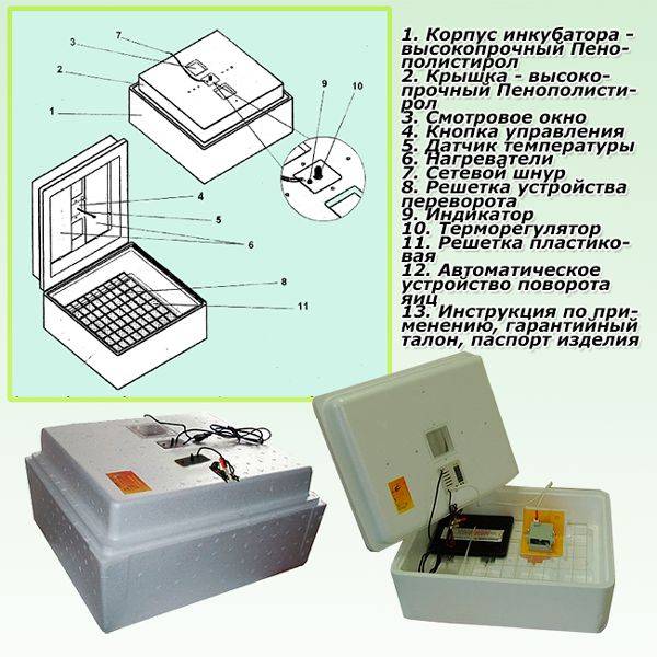 Об инкубаторе несушка: инструкция пользователя, схема, таблица инкубации, ремонт