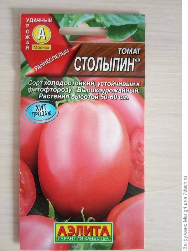 ᐉ томат "столыпин": описание сорта и фото, характеристики плодов помидоров и советы по их выращиванию - orensad198.ru