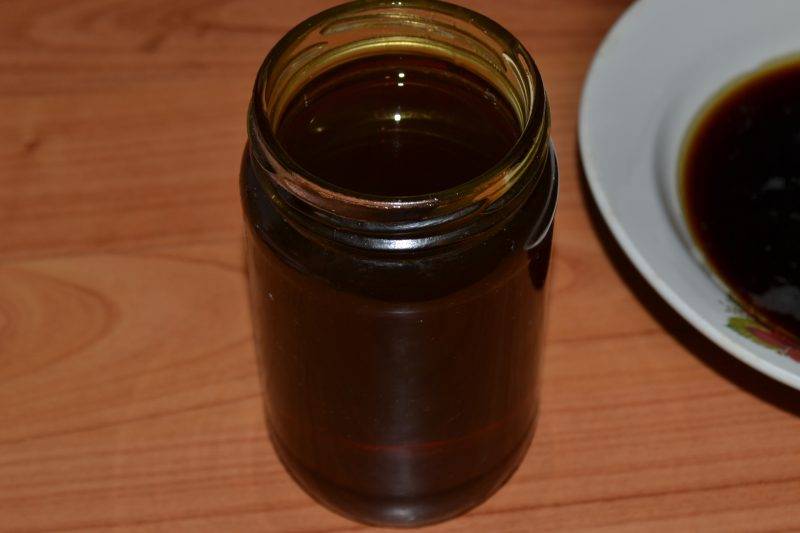Черноклёновый мед: полезные свойства и противопоказания