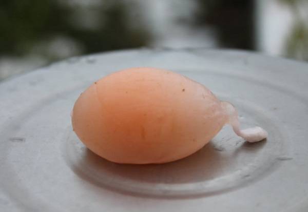 В чём причина тонкой скорлупы у куриного яйца и что при этом делать
