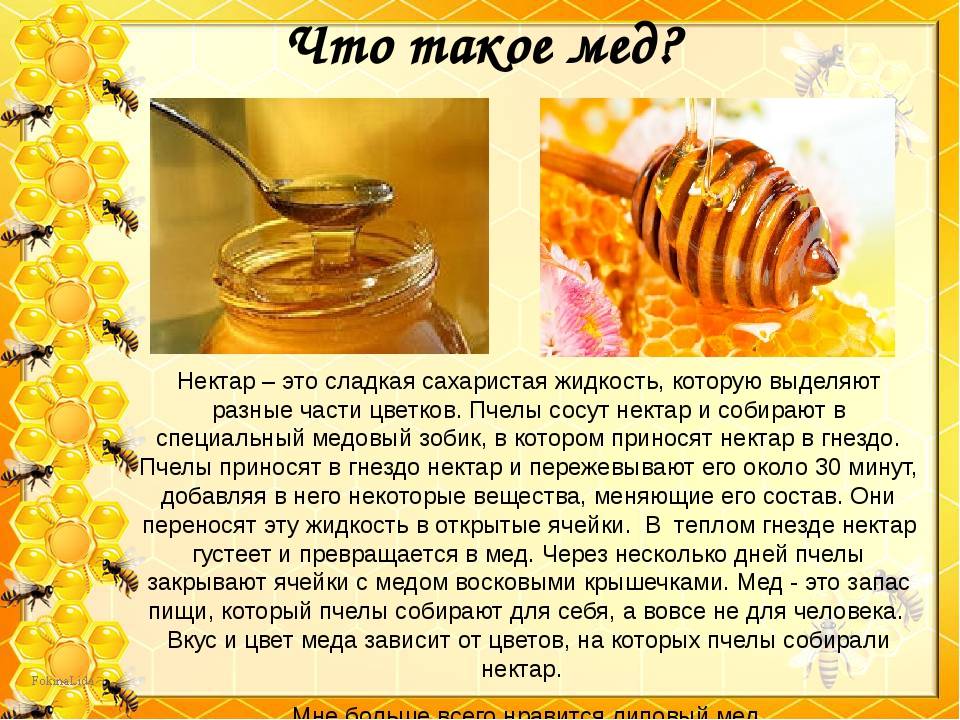Польза и применение в лечебных целях меда подсолнечника