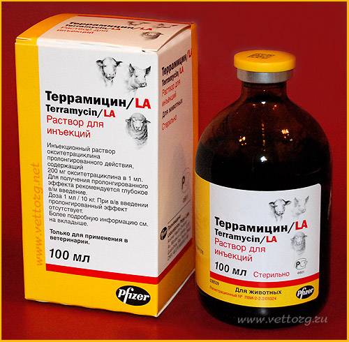 Топ-10 препаратов с тетрациклином для животных и инструкции по применению