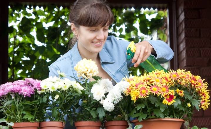 Секреты цветовода: занимаемся цветниками в сентябре | fermers.ru