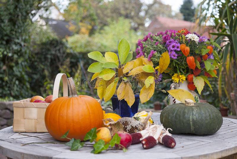 Работы в саду и огороде в октябре: что нужно сделать, благоприятные дни для работ