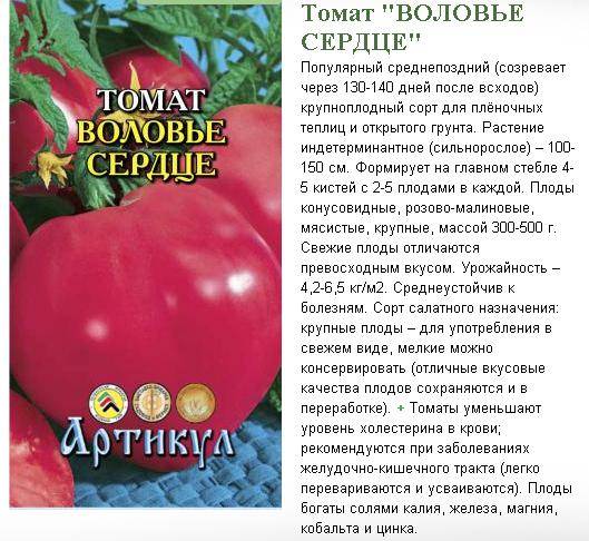 Сорт томата Чудо земли: описание и советы по выращиванию