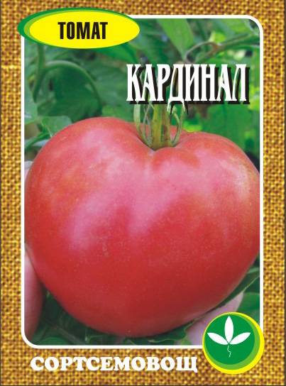 Томат "кардинал": характеристика и описание сорта, фото плодов-помидоров и рекомендации по выращиванию отличного урожая русский фермер