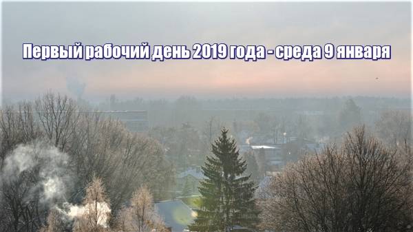 Сад: сезонные работы в январе на supersadovnik.ru