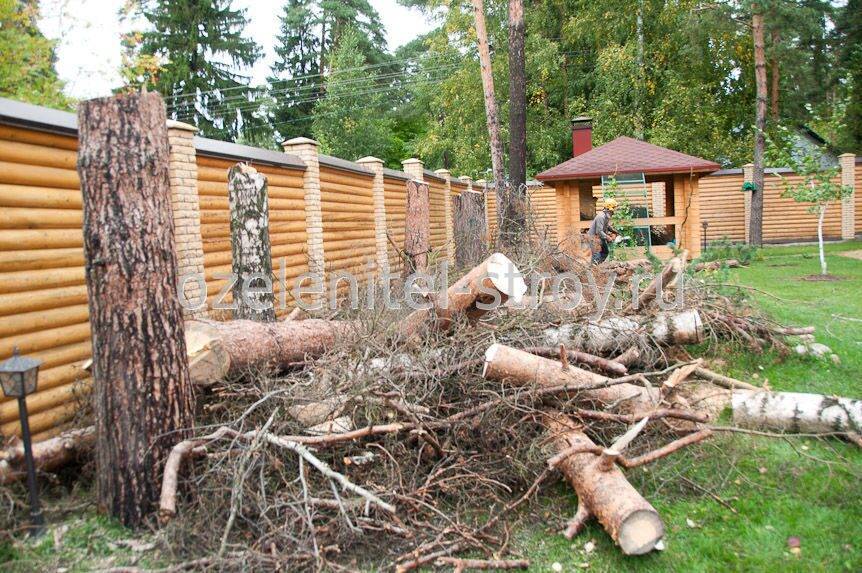 Можно ли вырубать деревья на земельном участке под ижс и как оформить вырубку