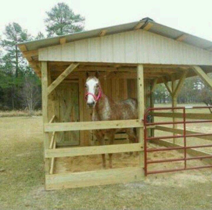 Как построить конюшню для лошадей на своем участке