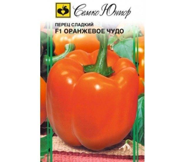 Перец оранжевое чудо: характеристика и описание сорта, особенности выращивания в теплице + фото