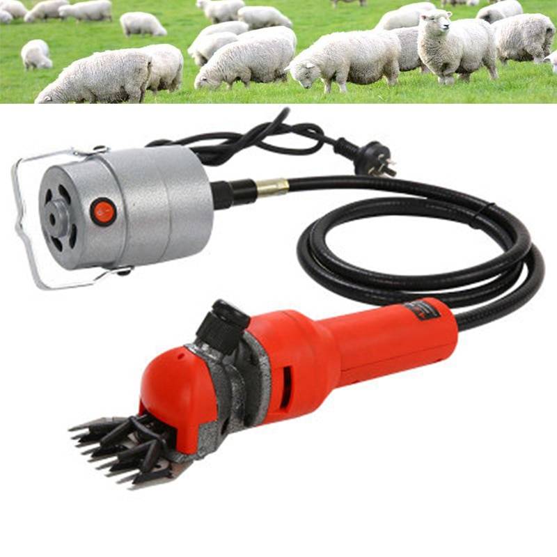 Ножницы и электрическая машинка для стрижки овец