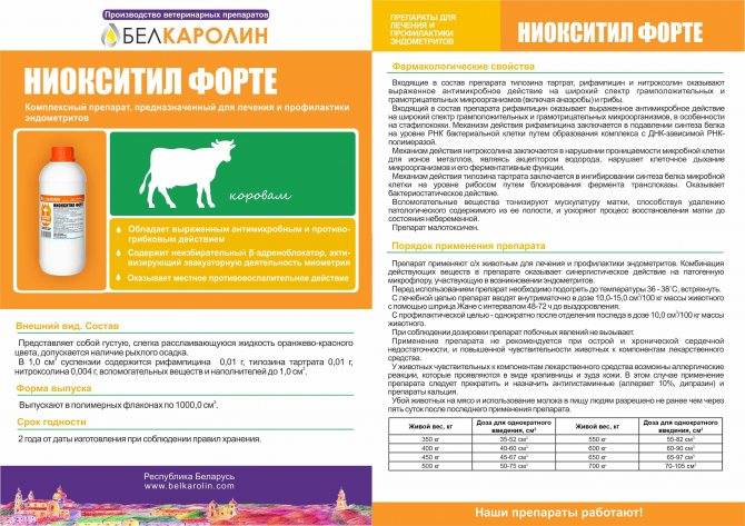 Инструкция по применению тимпанол для животных, дозировка для коров и телят