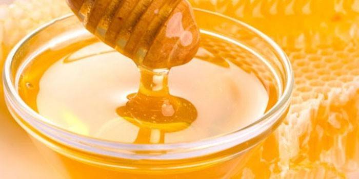 Хлопковый мед: особенности, как отличить, полезные свойства