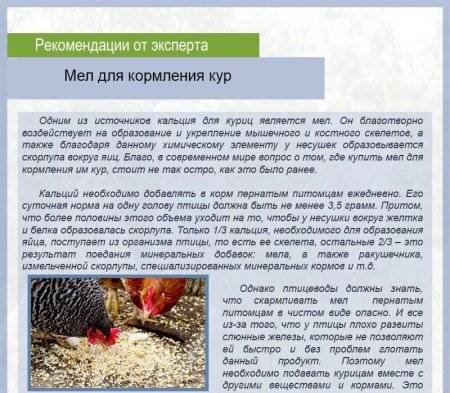 Как правильно давать мел курам несушкам и можно ли им строительный мел