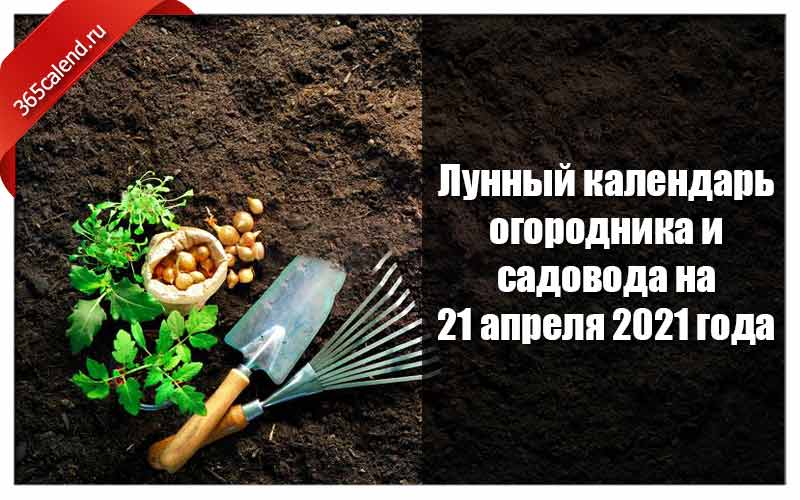 Календарь работ в саду и огороде по месяцам на 2021 и 2022 год