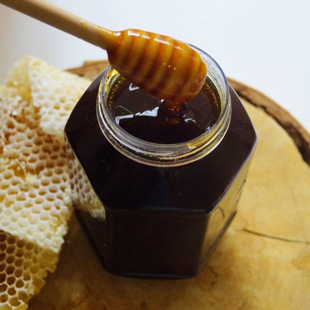Что такое падевый мёд