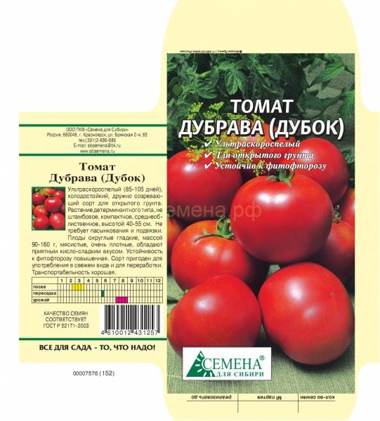 Сорт томатов «дубрава» или «дубок»