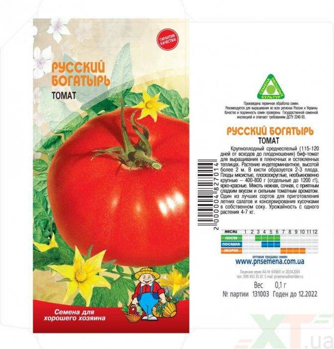 Томат дачник: описание раннего и простого в уходе сорта томатов
