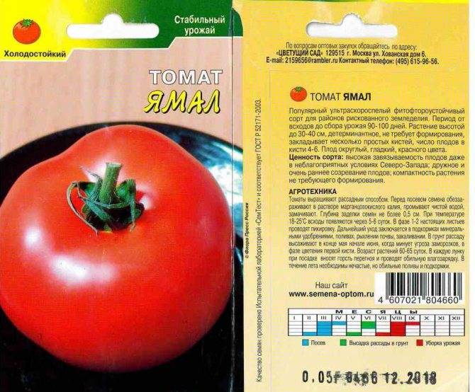 Штамбовый томат «ямал»: описание сорта, особенности агротехники, отзывы