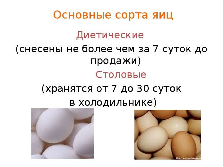 Куриное яйцо: сколько оно весит в разном соотношении?